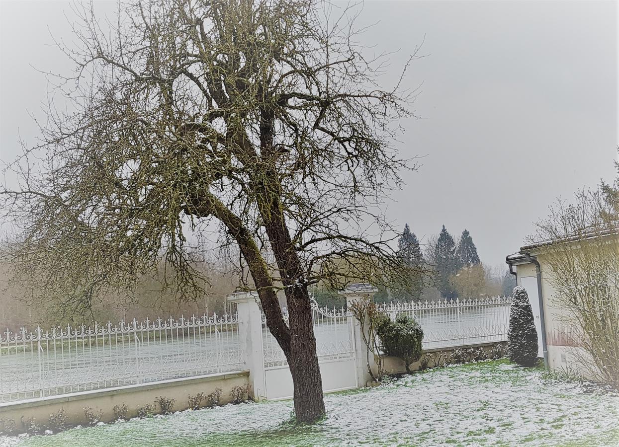 Hotel Beau Rivage Nogent-sur-Seine Zewnętrze zdjęcie